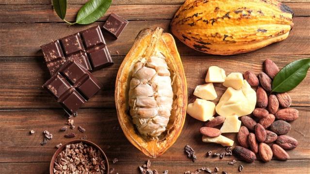 Día Internacional del Cacao: Importancia del Cultivo en República Dominicana - PincelDigital.do