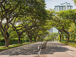 Singapur: el modelo de la sombra que podría inspirar a ciudades tropicales como Santo Domingo