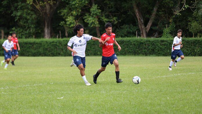 e7d9926f-9fdd-45fd-a4ad-a1fc46161340