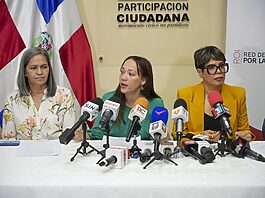 ROI cuestiona fundamentos e incoherencia en acta del CNM relativa a la no ratificación de tres jueces de la Suprema Corte de Justicia