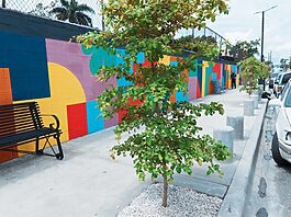 Alcaldía del DN recuperó cerca de 35,000 metros lineales de espacios públicos en 2025