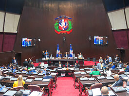 Cámara de Diputados aprueba en primera lectura proyecto de ley orgánica que crea el DNI