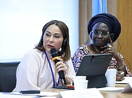Supérate destaca en la ONU la estrategia de protección social en la República Dominicana