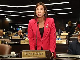 Diputada Patricia Núñez destaca aporte de CEDI-Mujer y la política social del Gobierno